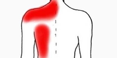 dor baixo o omóplato esquerdo desde as costas