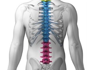 A dor na rexión lumbar é un síntoma de enfermidades da columna vertebral